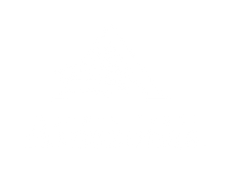 Logotipo oficial de Somos Todos Amazônia