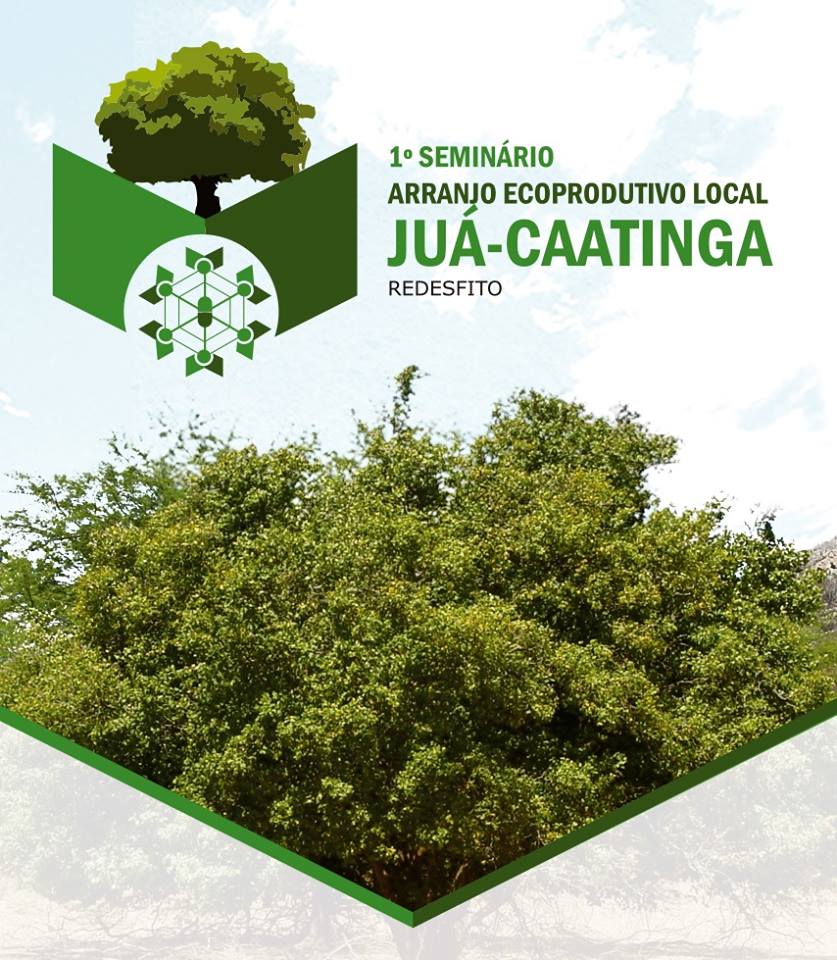 1º Seminário Arranjo Eco Produtivo Local Juá Caatinga